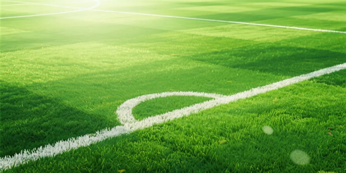 2026世界杯视觉背景